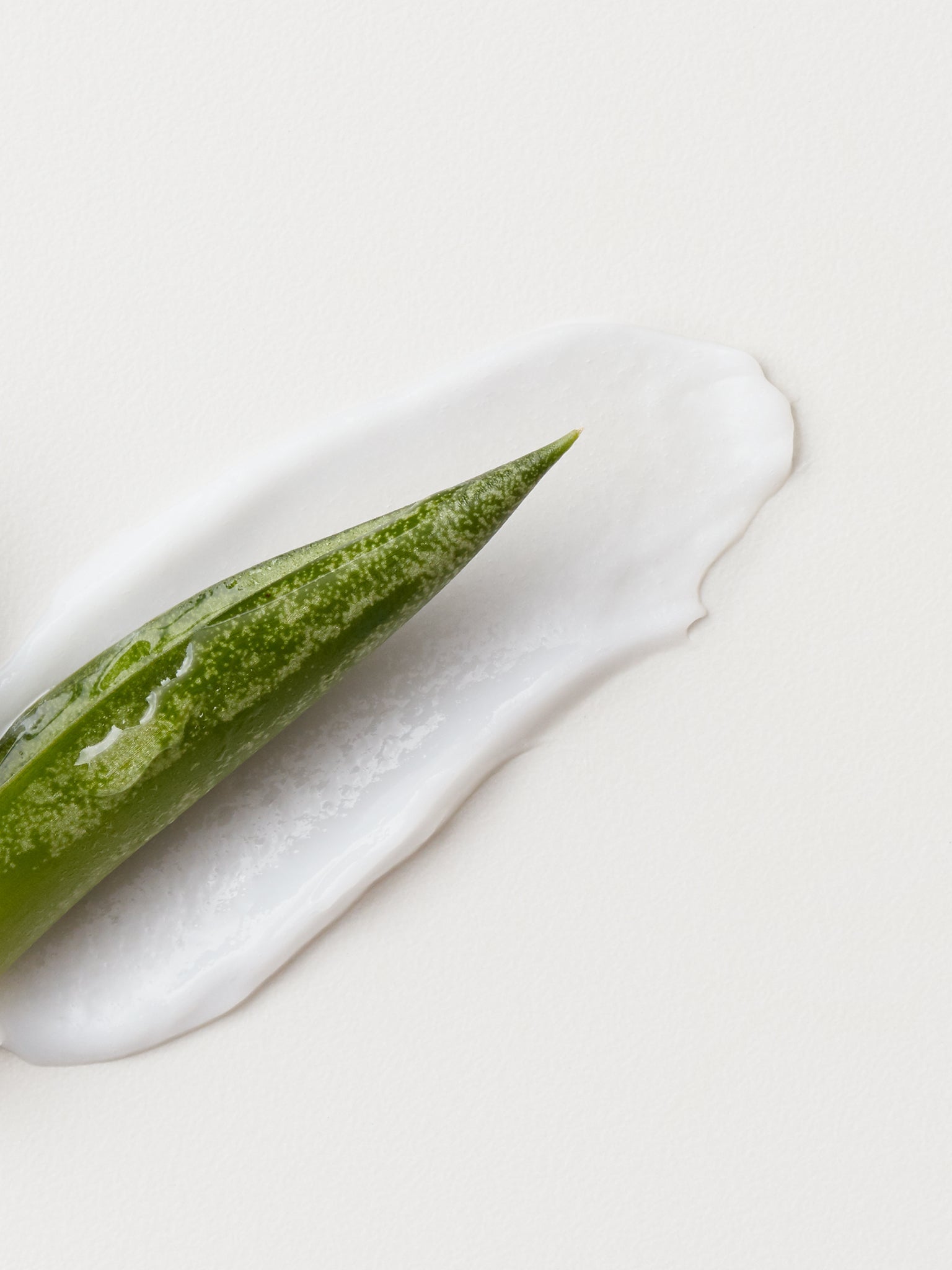 FAST FOOD Leave-On Conditioner 1L Refill - ProCare Outlet by AG Hair