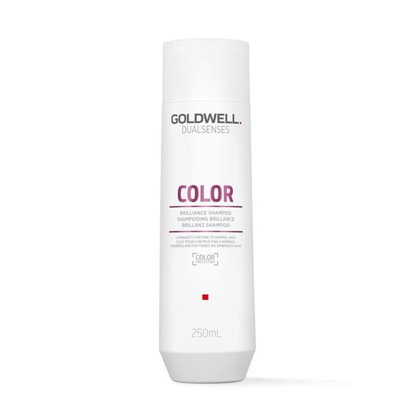 Goldwell Dualsenses Color Brilliance Shampoo – Colour Protection for Fine to Normal Hair