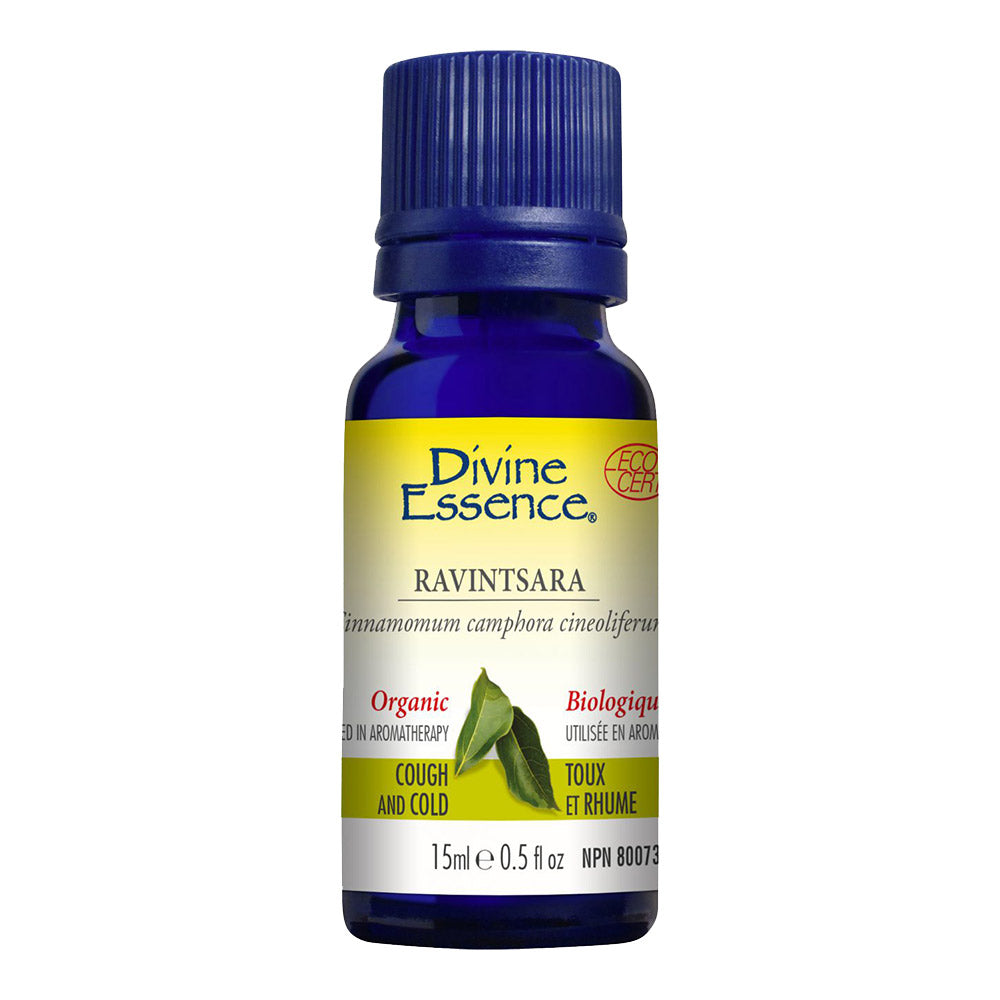 Ravintsara Organic Essential Oil 15ml, DIVINE ESSENCE - ProCare Outlet by Divine Essence